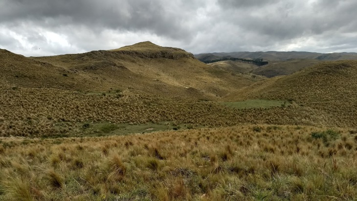 Cerro Alpatauca